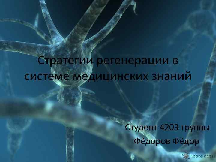 Стратегии регенерации в системе медицинских знаний Студент 4203 группы Фёдоров Фёдор 