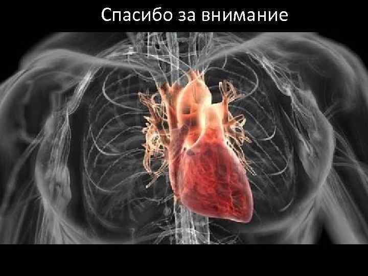 Спасибо за внимание 