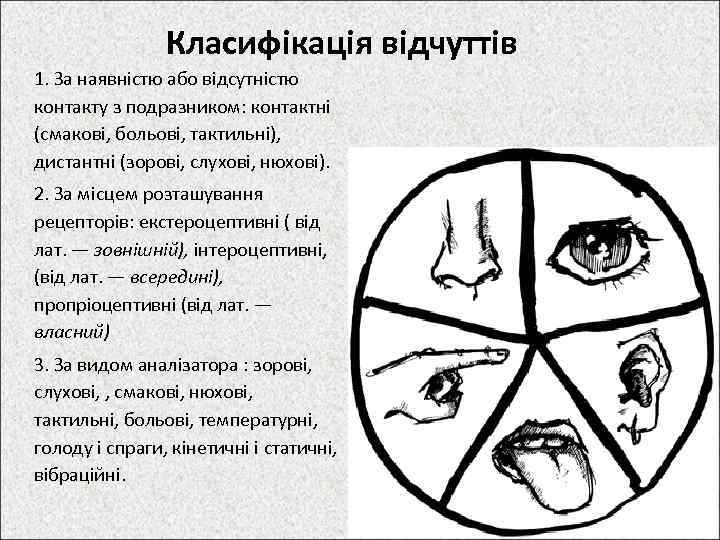 Класифікація відчуттів 1. За наявнiстю або вiдсутнiстю контакту з подразником: контактнi (смаковi, больовi, тактильнi),