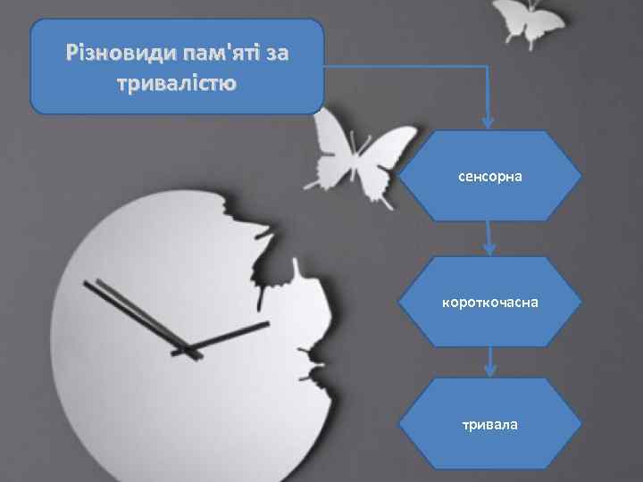 Різновиди пам'яті за тривалістю сенсорна короткочасна тривала 
