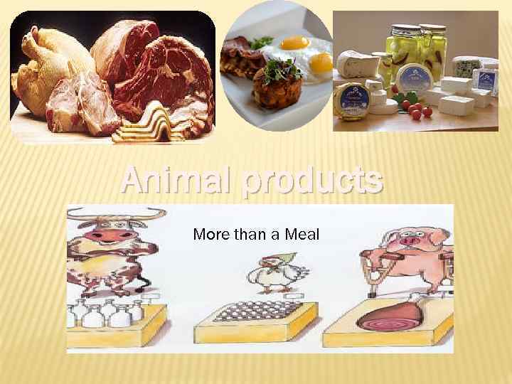 Animal products More than a Meal 