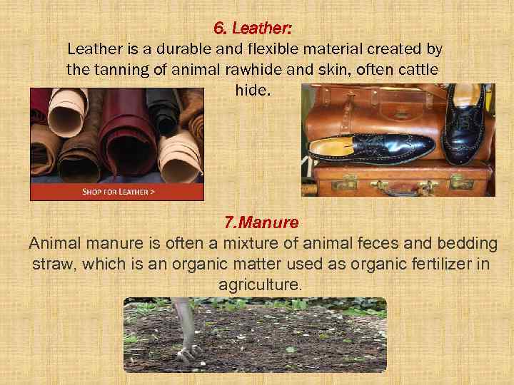 6. Leather: Leather is a durable and flexible material created by the tanning of