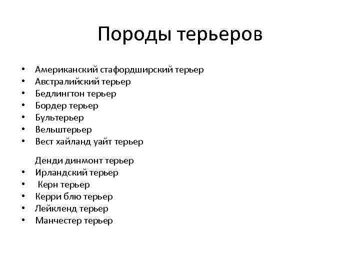 Породы терьеров • • Американский стафордширский терьер Австралийский терьер Бедлингтон терьер Бордер терьер Бультерьер