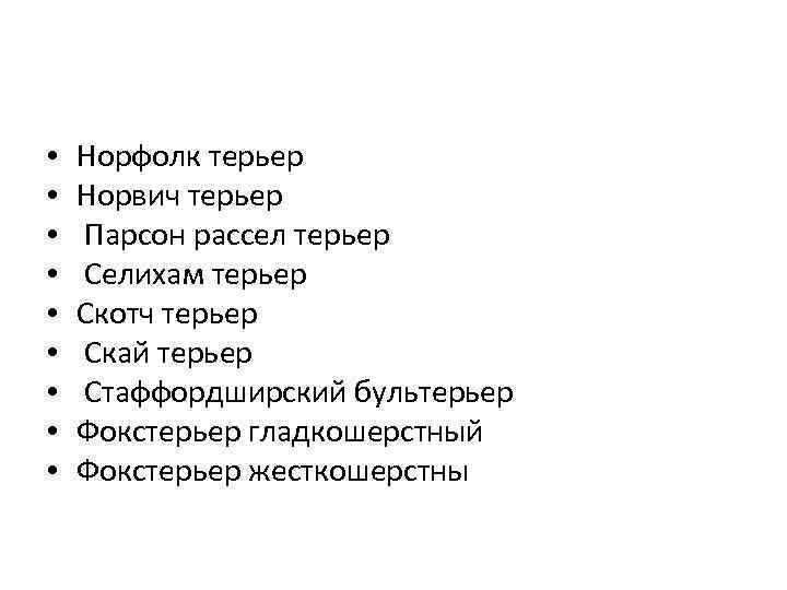  • • • Норфолк терьер Норвич терьер Парсон рассел терьер Селихам терьер Скотч