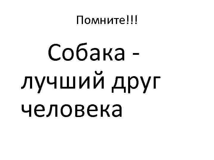 Помните!!! Собака лучший друг человека 