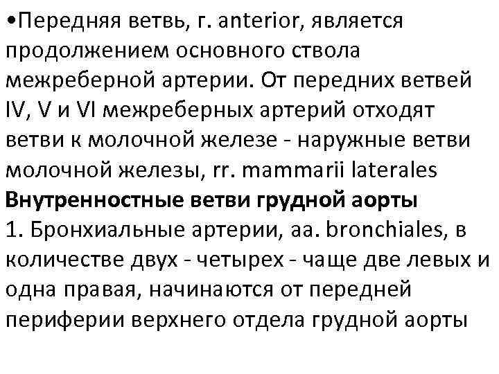  • Передняя ветвь, г. anterior, является продолжением основного ствола межреберной артерии. От передних