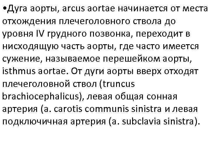  • Дуга аорты, arcus aortae начинается от места отхождения плечеголовного ствола до уровня