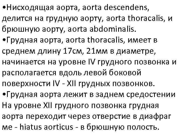  • Нисходящая аорта, aorta descendens, делится на грудную аорту, aorta thoracalis, и брюшную