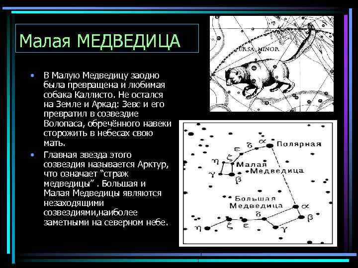 Малая МЕДВЕДИЦА • • В Малую Медведицу заодно была превращена и любимая собака Каллисто.