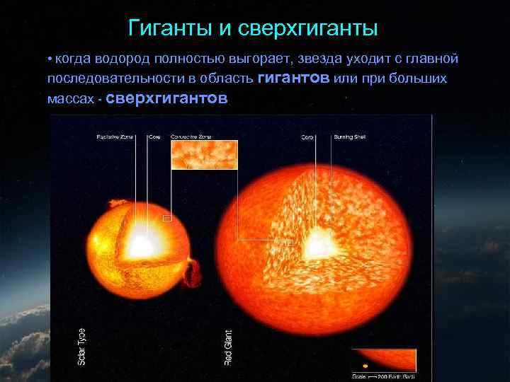 Гиганты и сверхгиганты • когда водород полностью выгорает, звезда уходит с главной последовательности в