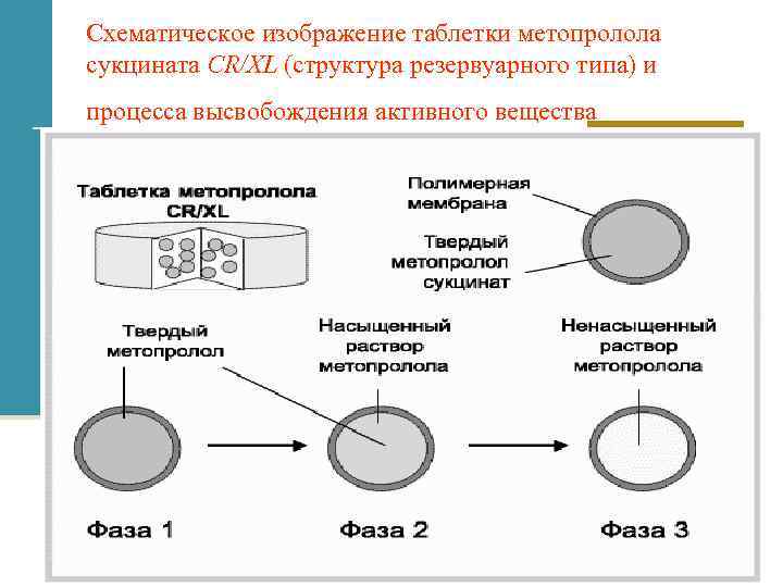 Схематическое изображение таблетки метопролола сукцината CR/XL (структура резервуарного типа) и процесса высвобождения активного вещества
