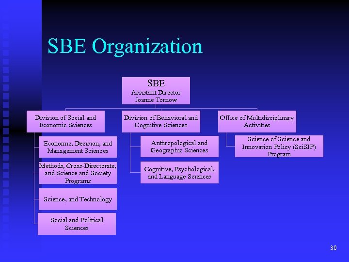 SBE Organization SBE Assistant Director Joanne Tornow Division of Social and Economic Sciences Division