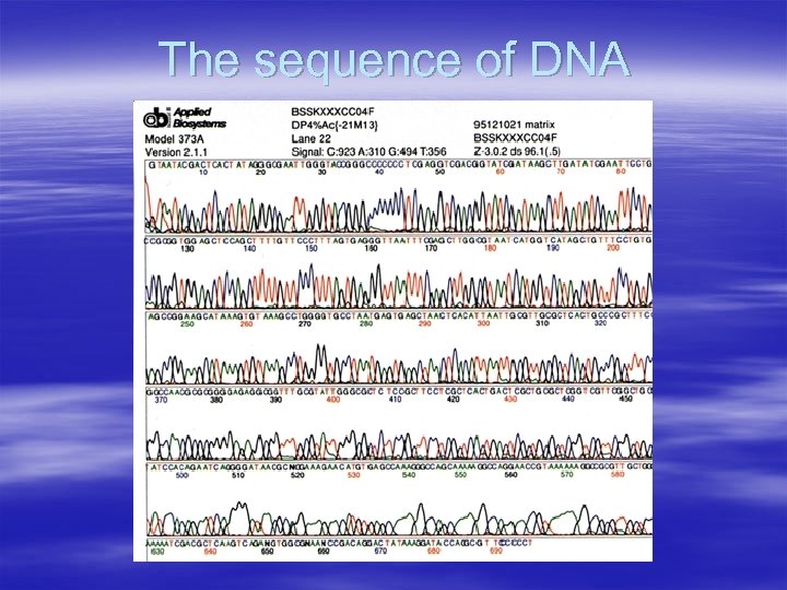 The sequence of DNA 