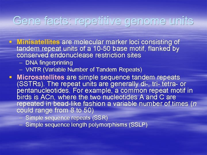Gene facts: repetitive genome units § Minisatellites are molecular marker loci consisting of tandem