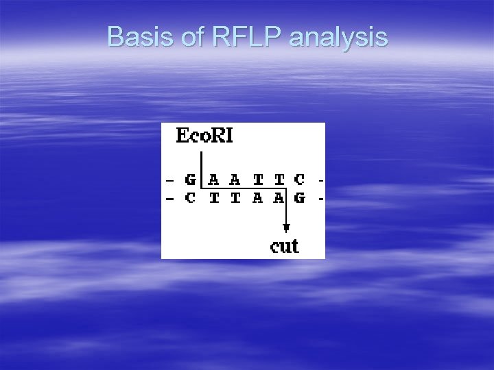 Basis of RFLP analysis 