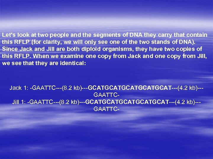 Let's look at two people and the segments of DNA they carry that contain