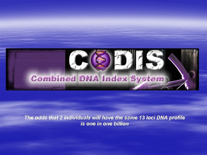 The odds that 2 individuals will have the same 13 loci DNA profile is