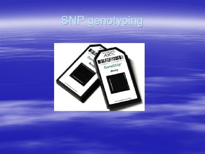 SNP genotyping 