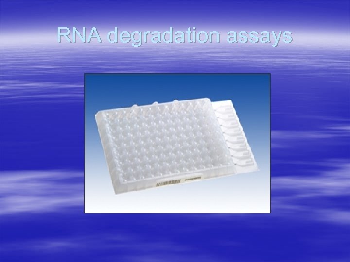 RNA degradation assays 