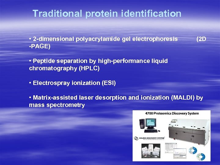 Traditional protein identification • 2 -dimensional polyacrylamide gel electrophoresis -PAGE) (2 D • Peptide