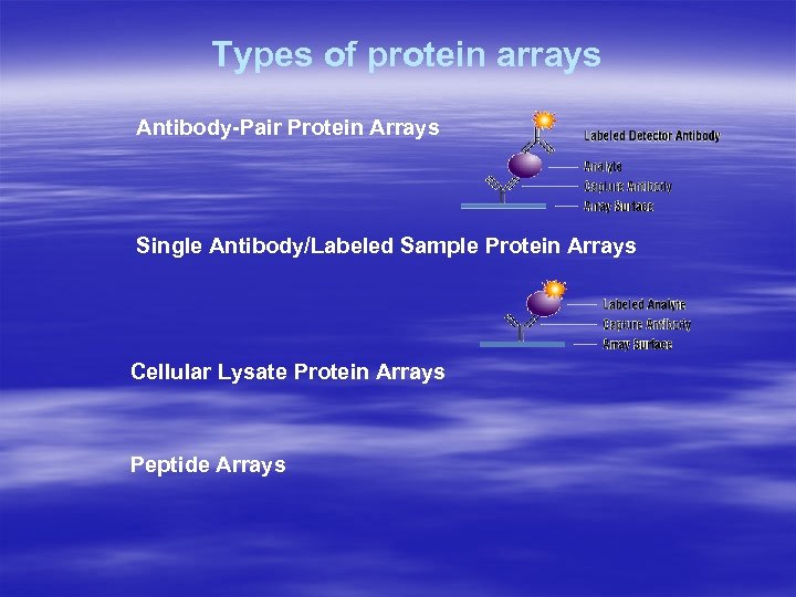 Types of protein arrays Antibody-Pair Protein Arrays Single Antibody/Labeled Sample Protein Arrays Cellular Lysate