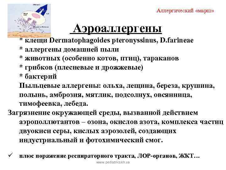 Аллергический «марш» Аэроаллергены * клещи Dermatophagoides pteronyssinus, D. farineae * аллергены домашней пыли *