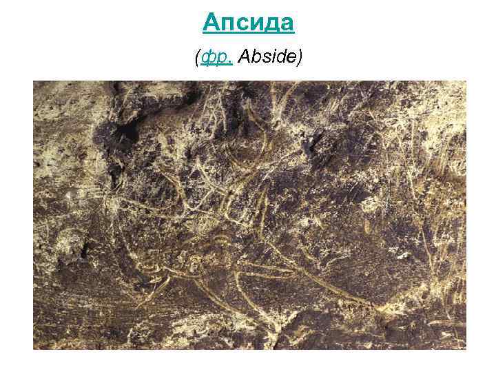 Апсида (фр. Abside) 