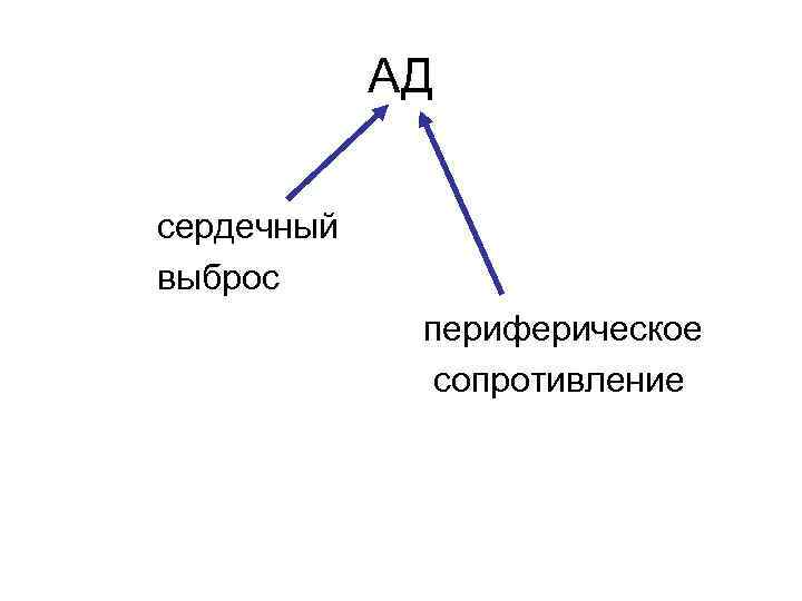 АД сердечный выброс периферическое сопротивление 