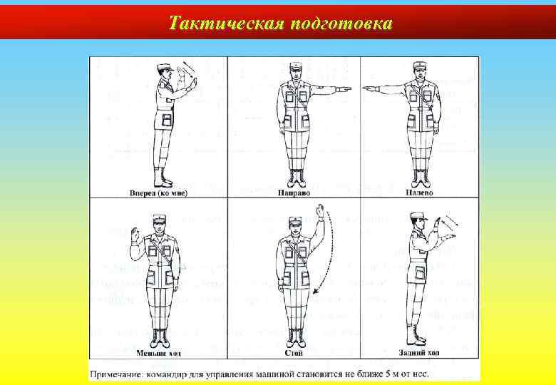 Тактическая подготовка 