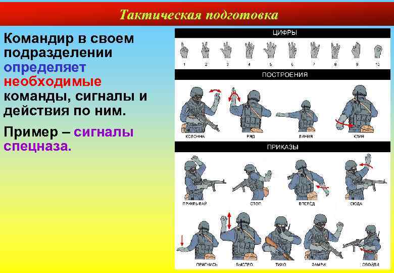 Тактическая подготовка Командир в своем подразделении определяет необходимые команды, сигналы и действия по ним.