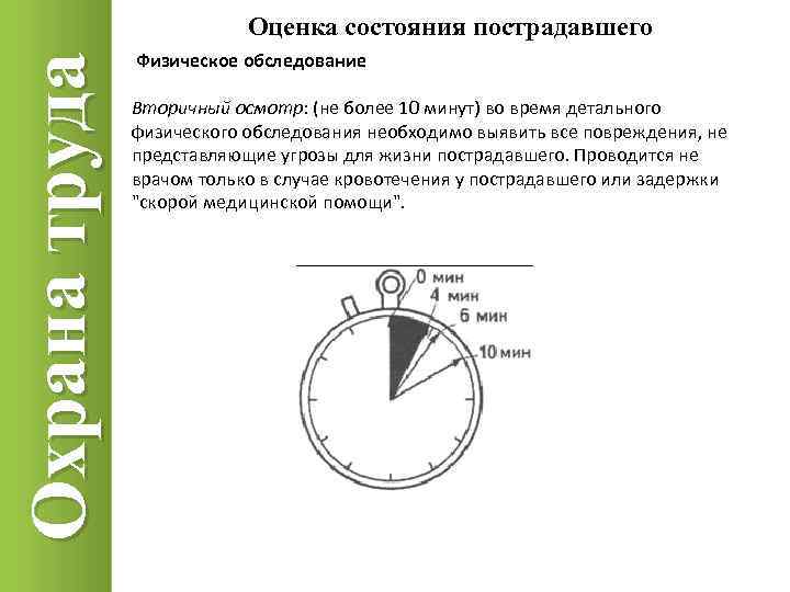 Охрана труда Оценка состояния пострадавшего Физическое обследование Вторичный осмотр: (не более 10 минут) во