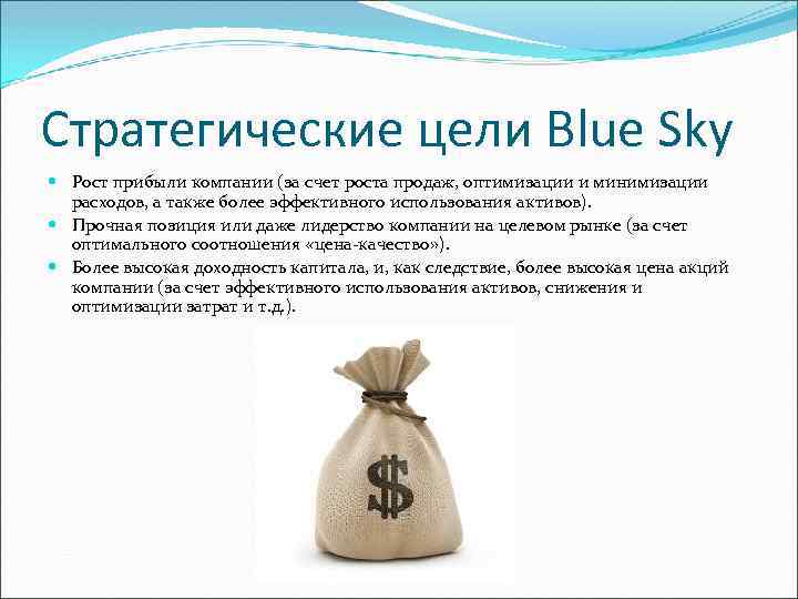 Стратегические цели Blue Sky Рост прибыли компании (за счет роста продаж, оптимизации и минимизации