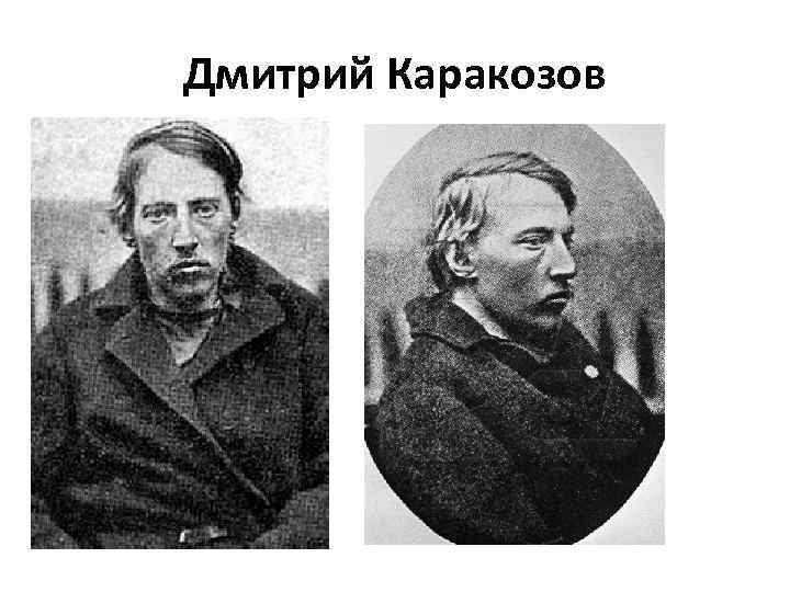 Покушение дмитрия каракозова. Каракозов революционер.