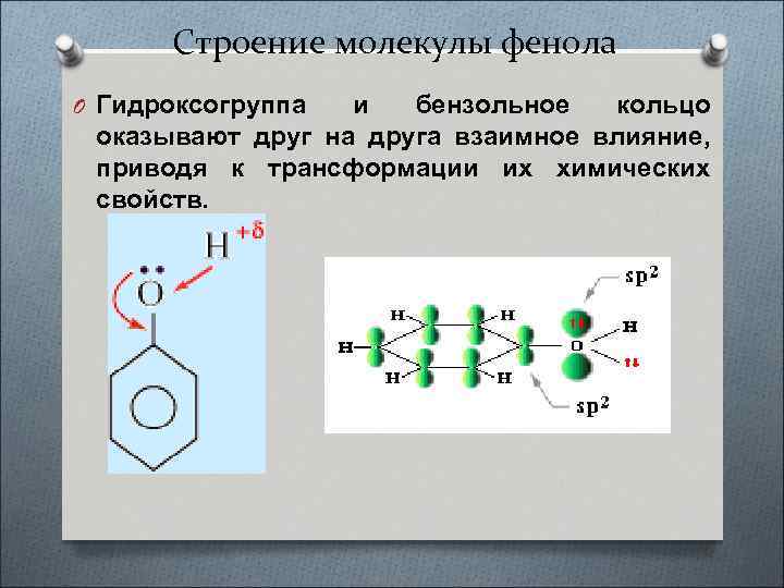 Строение молекулы фенола O Гидроксогруппа и бензольное кольцо оказывают друг на друга взаимное влияние,