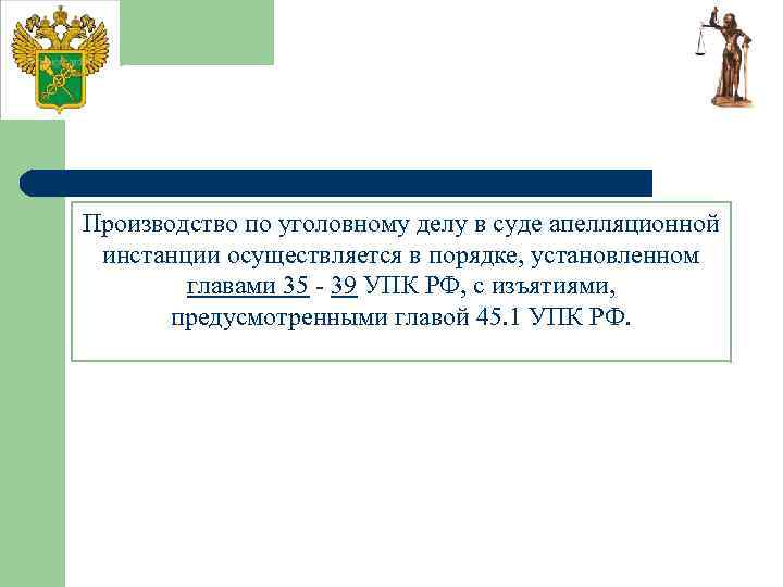 Производство по уголовному делу в суде апелляционной инстанции осуществляется в порядке, установленном главами 35