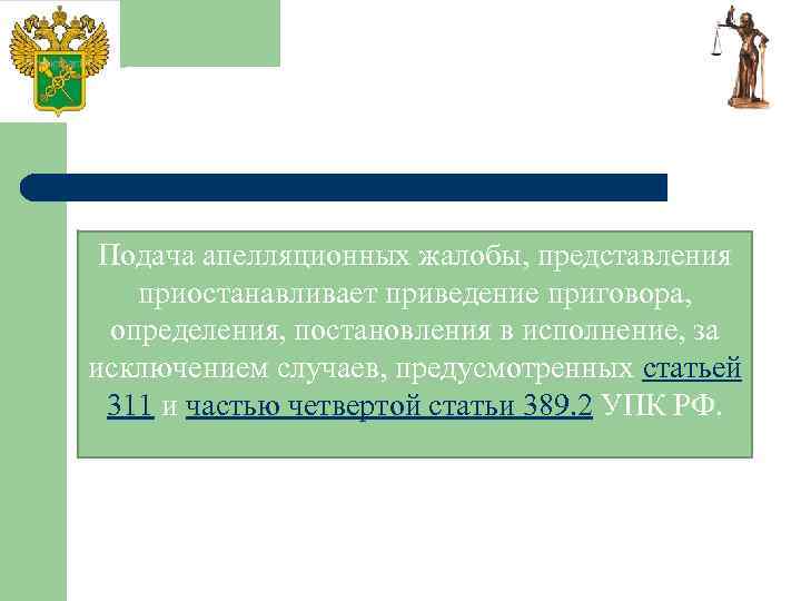 Подача апелляционных жалобы, представления приостанавливает приведение приговора, определения, постановления в исполнение, за исключением случаев,