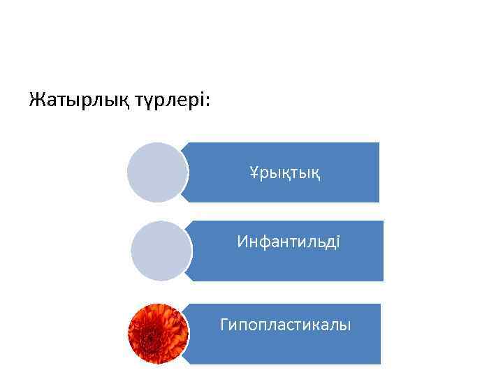 Жатырлық түрлері: Ұрықтық Инфантильді Гипопластикалы 