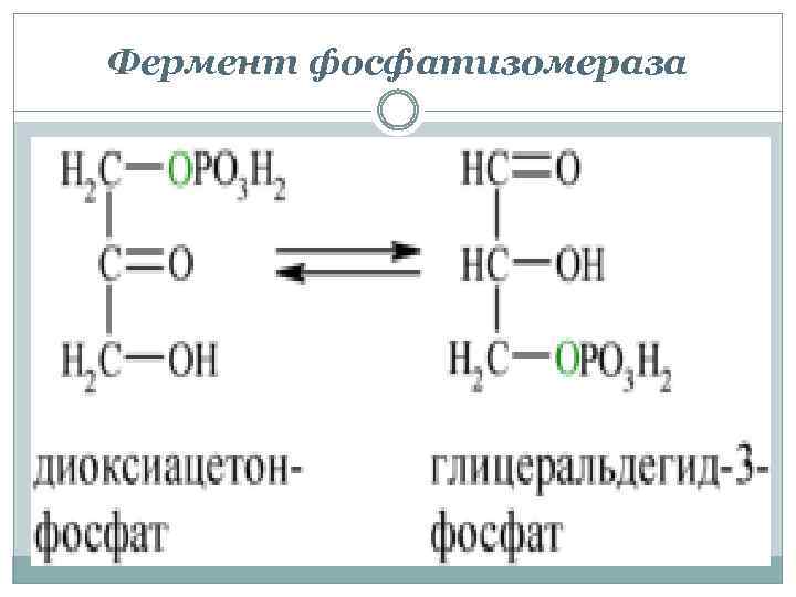 Фермент фосфатизомераза 