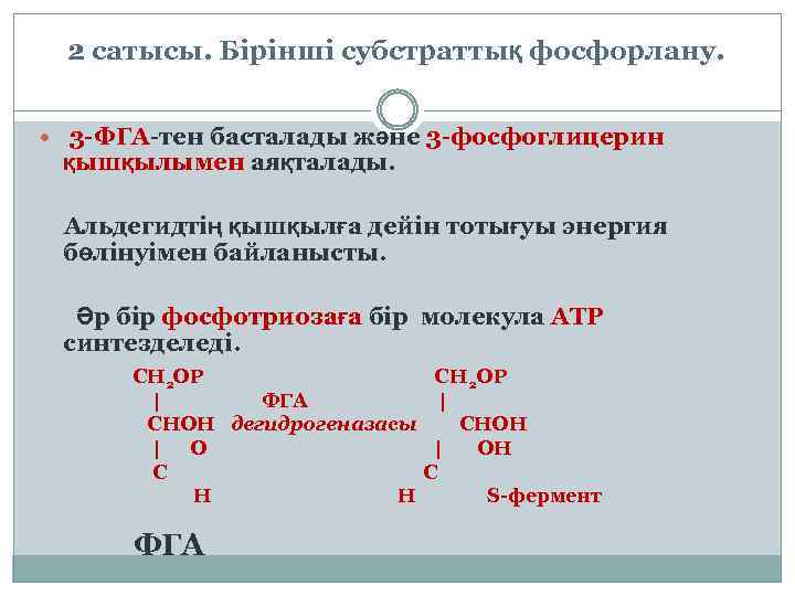 2 сатысы. Бірінші субстраттық фосфорлану. 3 -ФГА-тен басталады және 3 -фосфоглицерин қышқылымен аяқталады. Альдегидтің