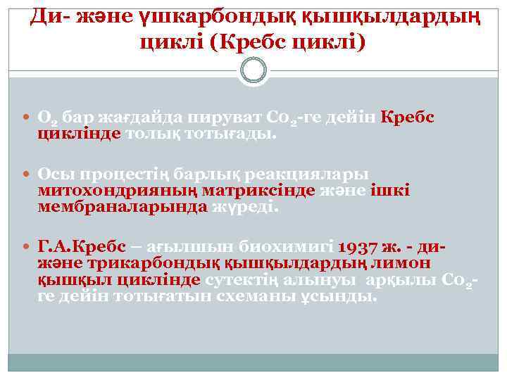 Ди- және үшкарбондық қышқылдардың циклі (Кребс циклі) О 2 бар жағдайда пируват С 02