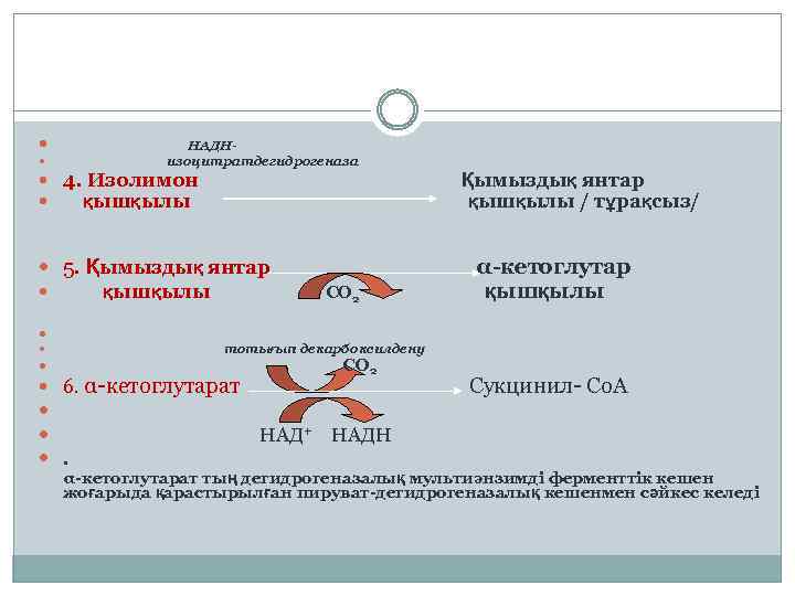  НАДНизоцитратдегидрогеназа 4. Изолимон Қымыздық янтар қышқылы қышқылы / тұрақсыз/ 5. Қымыздық янтар α-кетоглутар