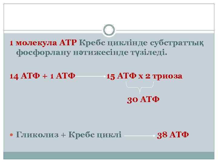 1 молекула АТР Кребс циклінде субстраттық фосфорлану нәтижесінде түзіледі. 14 АТФ + 1 АТФ