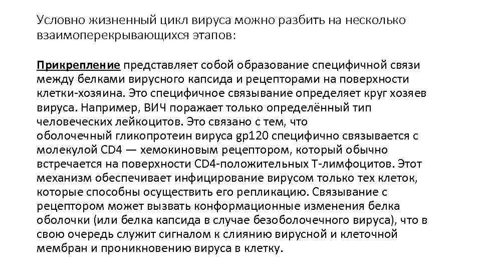 Условно жизненный цикл вируса можно разбить на несколько взаимоперекрывающихся этапов: Прикрепление представляет собой образование