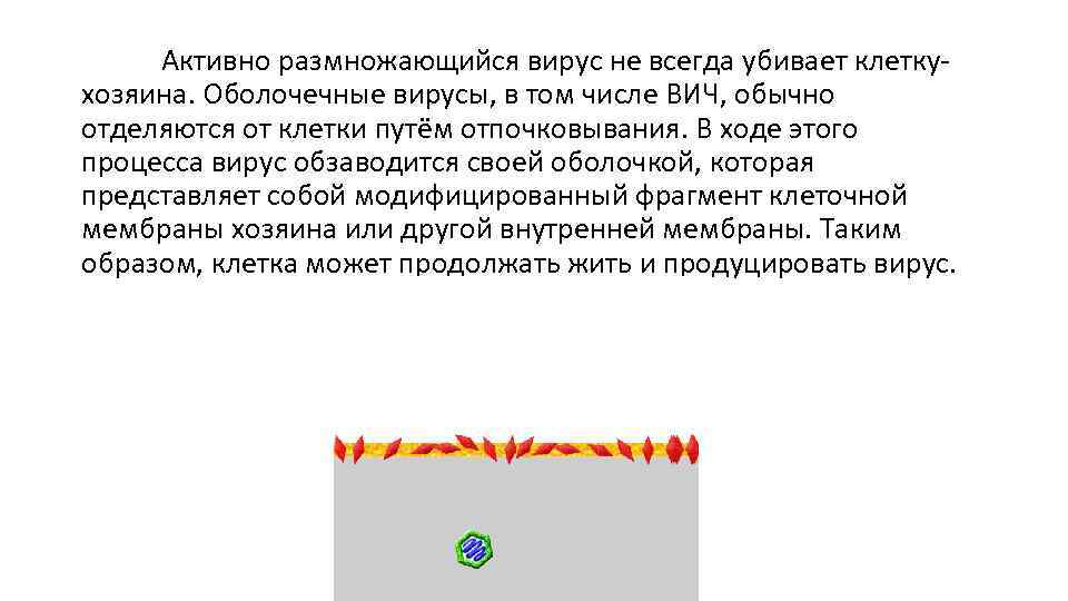 Активно размножающийся вирус не всегда убивает клеткухозяина. Оболочечные вирусы, в том числе ВИЧ, обычно