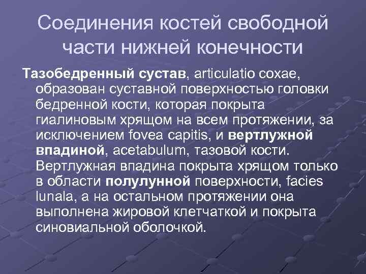 Соединения костей свободной части нижней конечности Тазобедренный сустав, articulatio coxae, образован суставной поверхностью головки