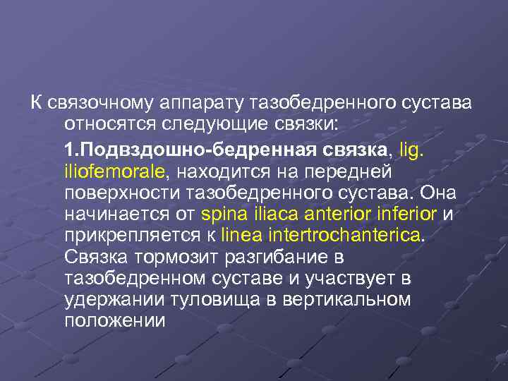 К связочному аппарату тазобедренного сустава относятся следующие связки: 1. Подвздошно-бедренная связка, lig. iliofemorale, находится