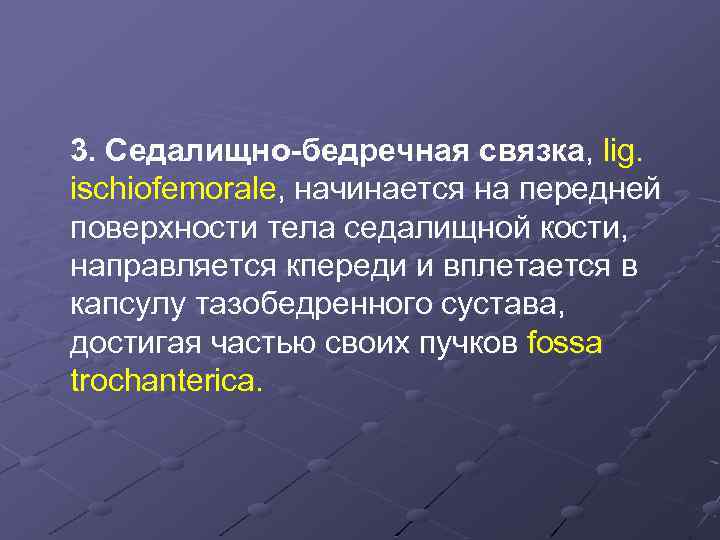 3. Седалищно-бедречная связка, lig. ischiofemorale, начинается на передней поверхности тела седалищной кости, направляется кпереди