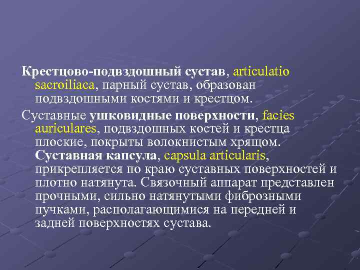 Крестцово-подвздошный сустав, articulatio sacroiliaca, парный сустав, образован подвздошными костями и крестцом. Суставные ушковидные поверхности,