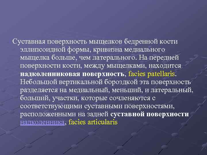 Суставная поверхность мыщелков бедренной кости эллипсоидной формы, кривизна медиального мыщелка больше, чем латерального. На