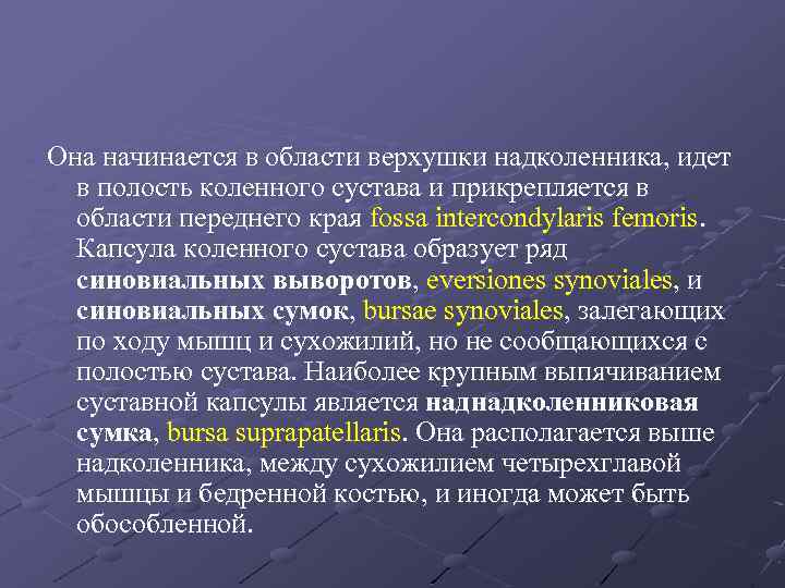 Она начинается в области верхушки надколенника, идет в полость коленного сустава и прикрепляется в